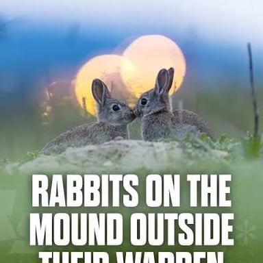 A rabbit near the entrance to a burrow