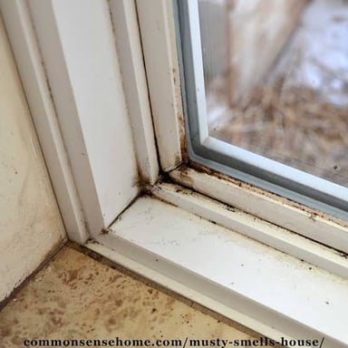 An old room with closed windows and a visibly stale, musty atmosphere.