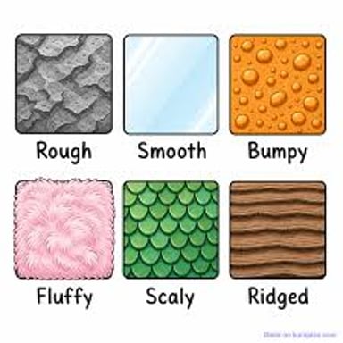 A selection of surfaces illustrating smooth, rough, soft, and coarse textures.