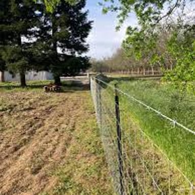Wire fencing runs along the edge of a farm field.
