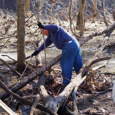 A person removing fallen branches from a forest trail