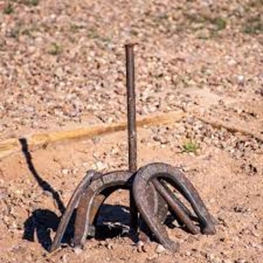 A horseshoe resting around a stake after a successful toss