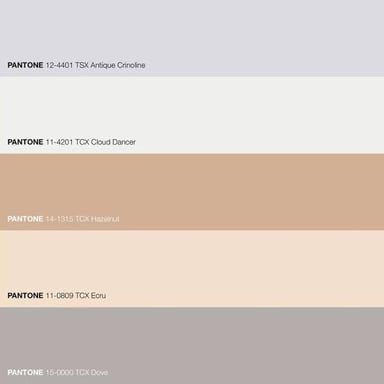 A set of pale beige and grayish-tan color swatches