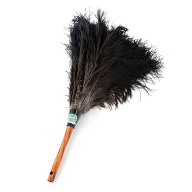 A feather duster with soft strands used to remove dust from household surfaces.