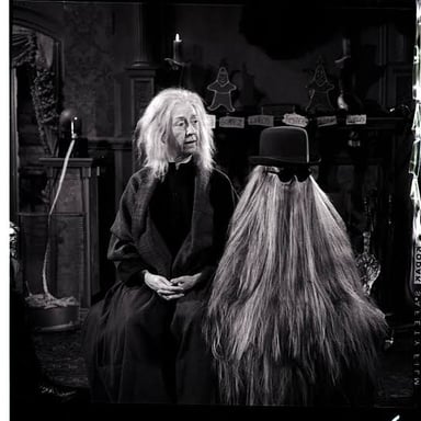 Cousin Itt from The Addams Family covered in floor-length hair