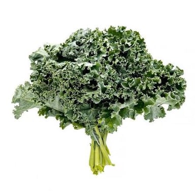 A bunch of fresh kale with its distinctive leafy green leaves.
