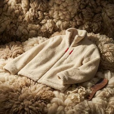 A Merino sheep with its woolly fleece.