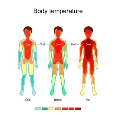 A skin cross-section and a thermometer illustrating the meanings of hypodermic and hypothermic.