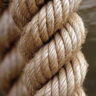 Rope sections secured with several ties and knots.