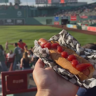 A frankfurter in a bun, the familiar ballpark snack.