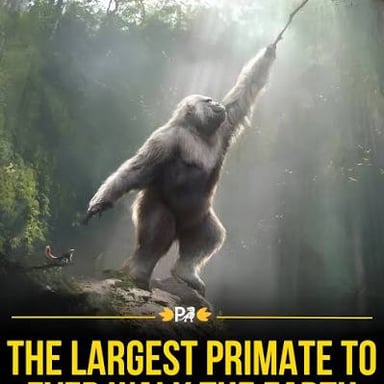 A large great ape standing upright.
