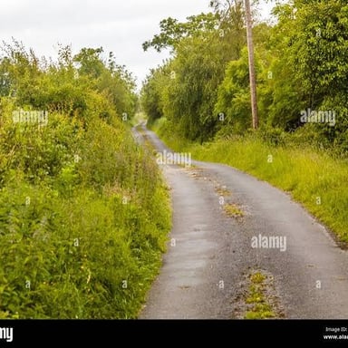 A narrow dirt road winds through a rural landscape with room for one lane of traffic.