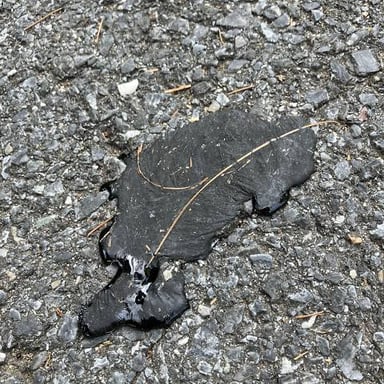 A dark coating of tar being spread across a road surface.