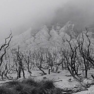 A stark, barren landscape beneath an overcast sky.