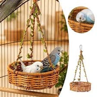 A bird perched inside a wire cage.