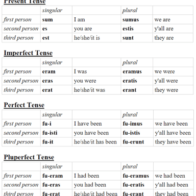 A Latin verb chart identifying erat as an imperfect form of esse, “to be.”