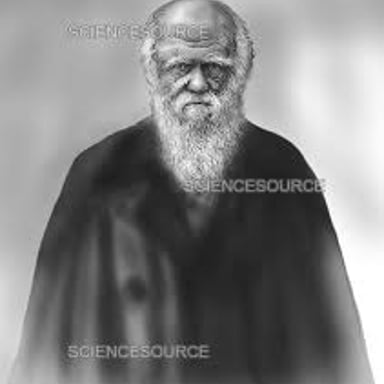 Portrait of naturalist Charles Darwin, known for the theory of evolution by natural selection.