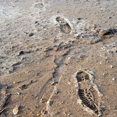 Deep boot prints pressed into muddy ground, suggesting someone walked heavily.
