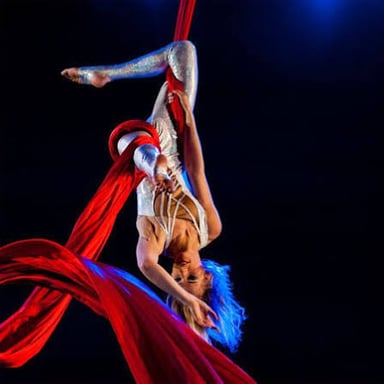 Acrobatic performers executing an aerial stunt