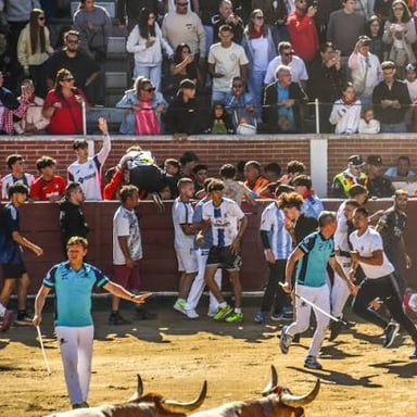 A toreador in a bullring as spectators watch.