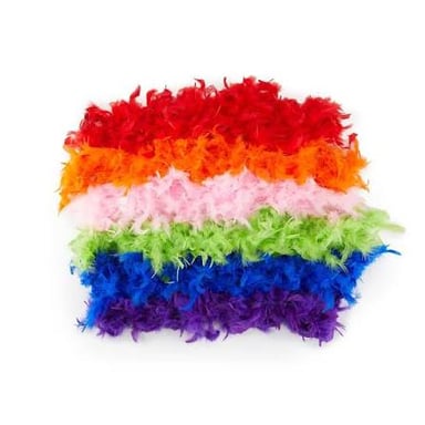 A colorful feather boa draped around a person’s shoulders.