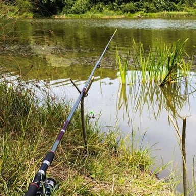 A fishing rod leaning beside a lake.