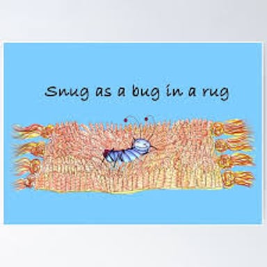 A cozy bug tucked into a rug, illustrating the phrase “snug as a bug in a rug.”