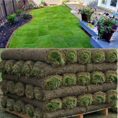 Cut rolls of grass sod, with roots and soil attached.