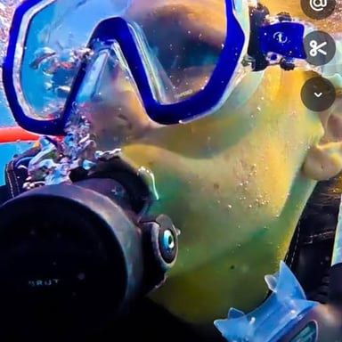 A scuba diver underwater wearing a tank and breathing through a regulator.