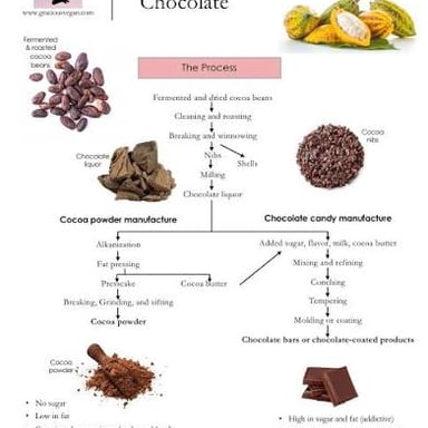 Cacao pods opened to reveal the beans used to make chocolate.