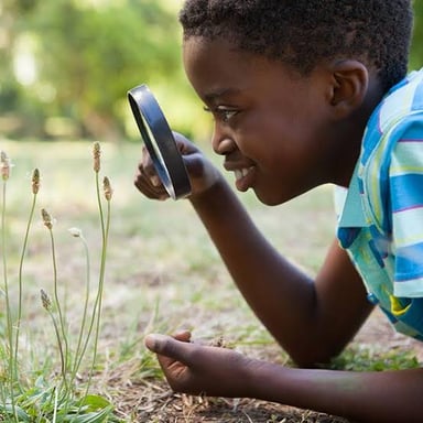 A person looking closely at an object.