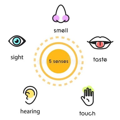 Illustrations representing taste, touch, sight, hearing, and smell.