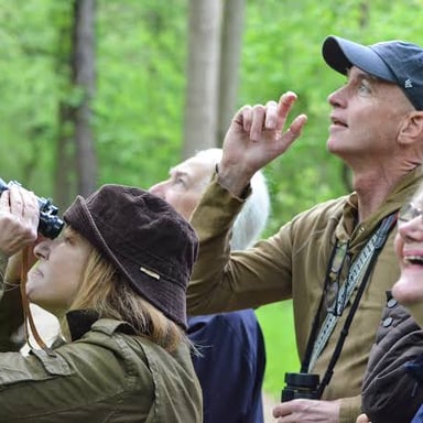 A birdwatcher using binoculars to observe birds outdoors.