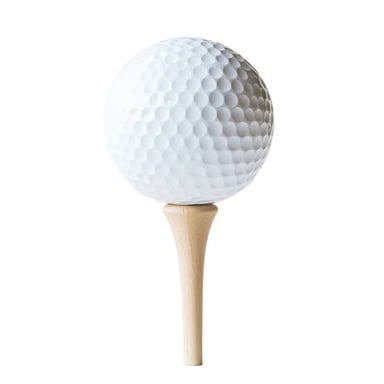 A golf ball perched on a small tee on the grass.