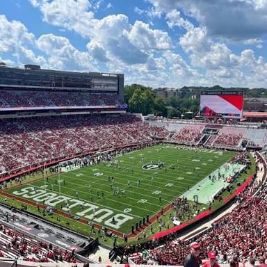 A University of Georgia Bulldogs football scene in a stadium.