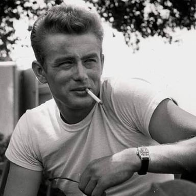 James Dean wearing a plain white T-shirt in a publicity image associated with Rebel Without a Cause.