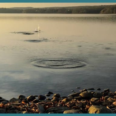 A flat stone bouncing across the surface of a lake.
