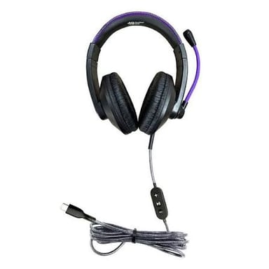 Audio equipment including a microphone and headphones
