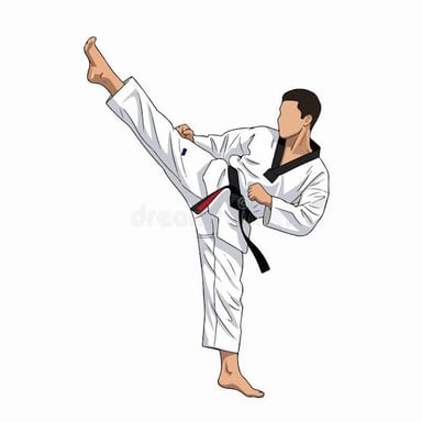 A taekwondo practitioner demonstrating a high kick.