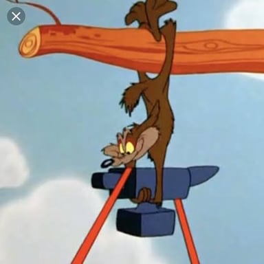 A classic Road Runner cartoon gag featuring Wile E. Coyote and a falling anvil.