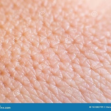 A close-up view of pores on human skin