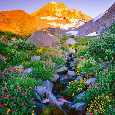 Mount Hood rising above an Oregon landscape.