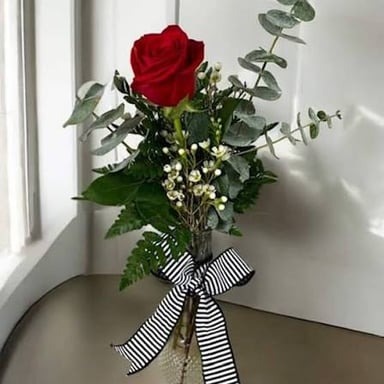A rose arranged in a vase