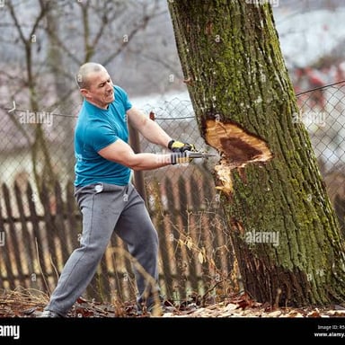 A lumberjack cutting down a tree with an axe