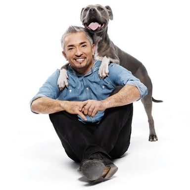 Cesar Millan, the dog trainer and television host, pictured with a dog.