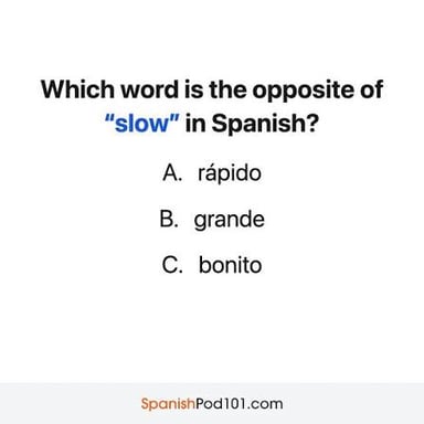 An educational illustration explaining the Spanish adjective rico