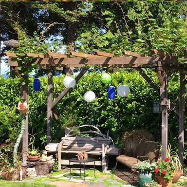 A leafy garden arbor casting shade over a path