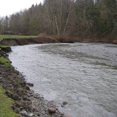 A river slowly wearing away the soil along its bank.