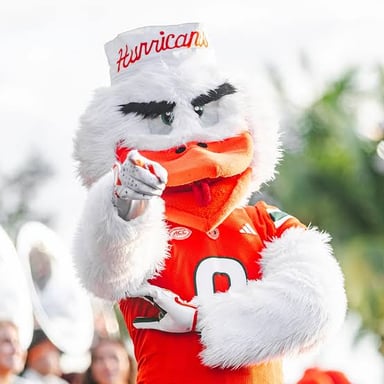 The Florida Gators mascot represents the University of Florida athletic program.