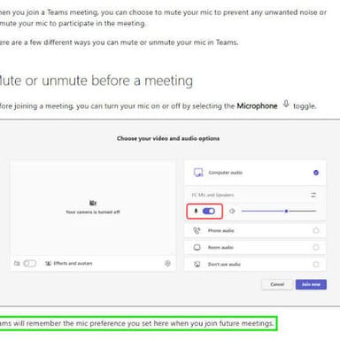 A video meeting screen indicating that a participant’s microphone is muted.